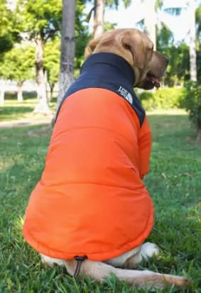Dogface puffer - CNFans Spreadsheet catalog entry
