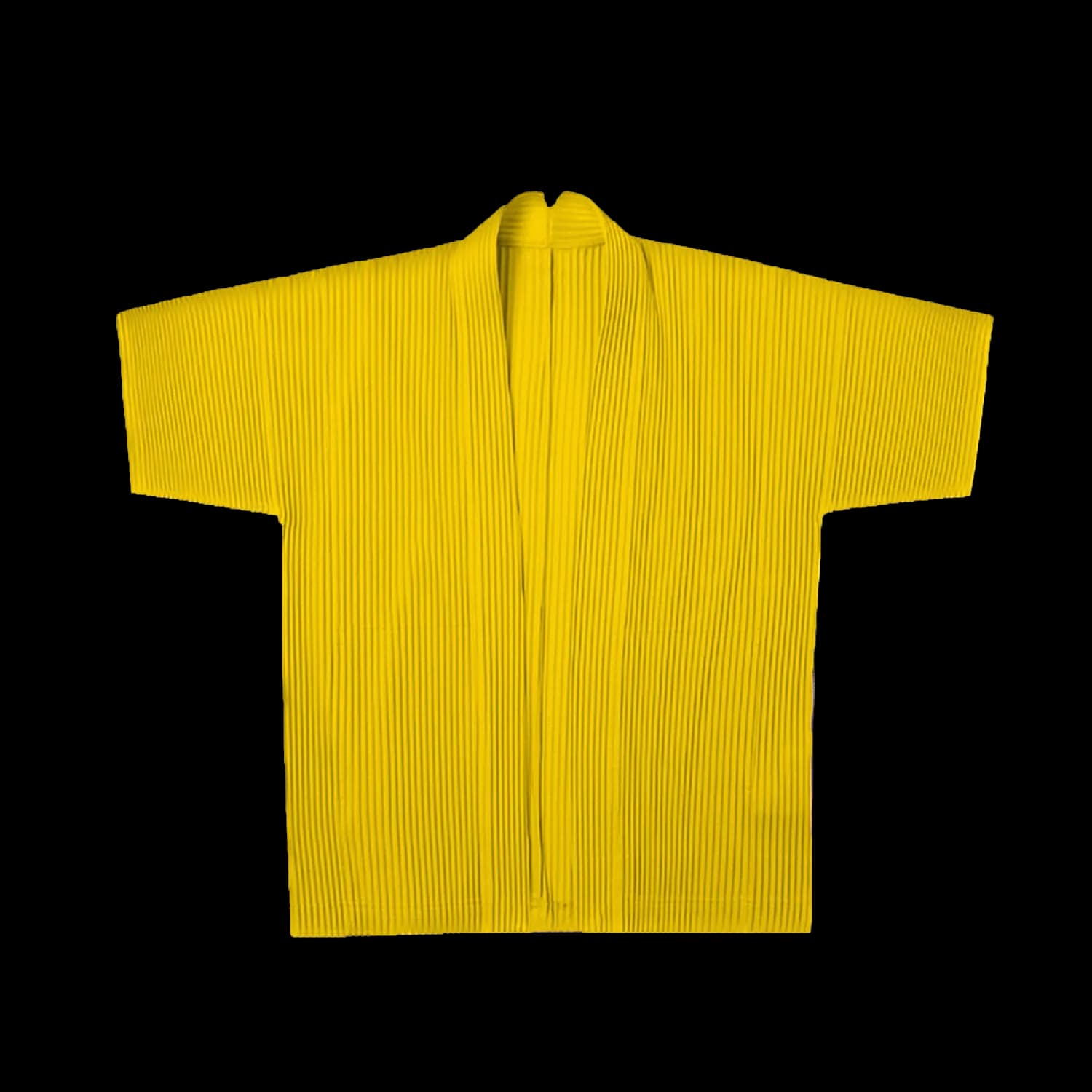 Issey Miyake Pleated Robe - CNFans Spreadsheet catalog entry