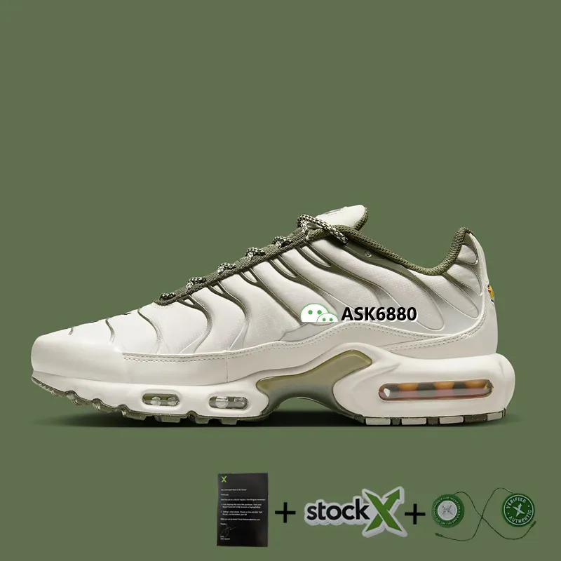 TN BARCELONA 1 1 thumbnail 2