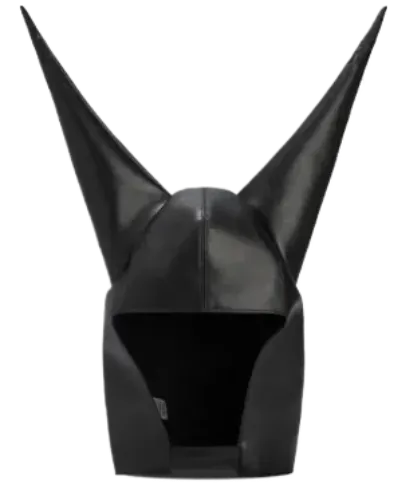 Anonymous Club Dunce Cap thumbnail 2